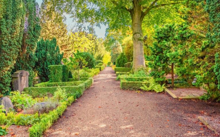 seniorklubben på guidet rundvisning på assistens kirkegård